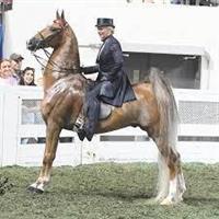 <span class='eventTitle'>The Madison Classic Horse Show</span>