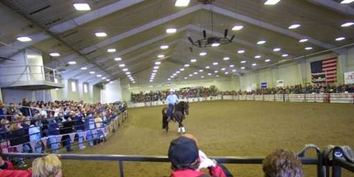 Horse Show - Arena
