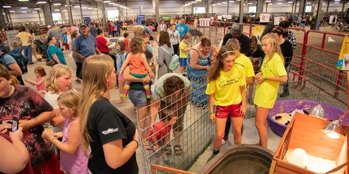 Dane County Fair - New Holland Pavilion #2