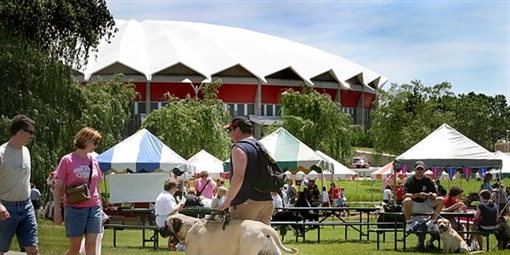 Dog Fest - Willow Island