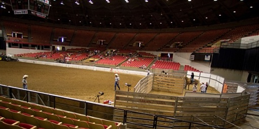 Barrel Horse Racing