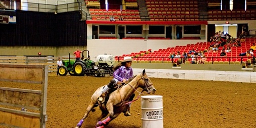 Barrel Horse Racing