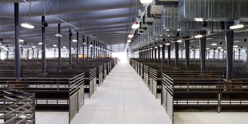 05) Cattle Set-up - New Holland Pavilion #2
