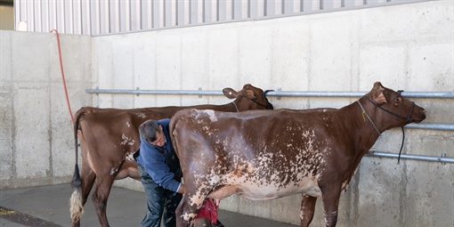 06) New Holland Pavilion - Wash Racks